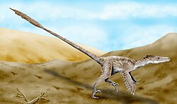 Ilustracija V. mongoliensis