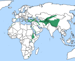 Rasprostranjenost kostoberine