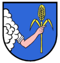 Grb grada Sulzfeld