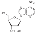 Chemical structure of adenosine