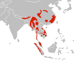 Karta rasprostranjenosti azijske zlatne mačke.