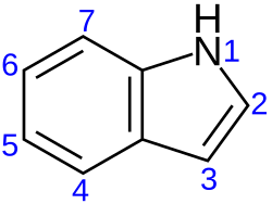 Strukturna formula molekule indola, koja pokazuje konvenciju o numeriranju za supstituentne skupine.