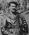 Miladin Popović