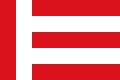 Zastava Eindhovena