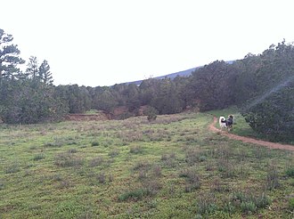 Staza u Cedar Crestu.