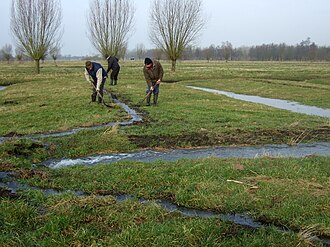 Tradicionalno navodnjavanje: znanje, tehnika i organizacija